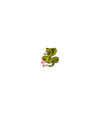 cobra kai logo color model negru pe tricou