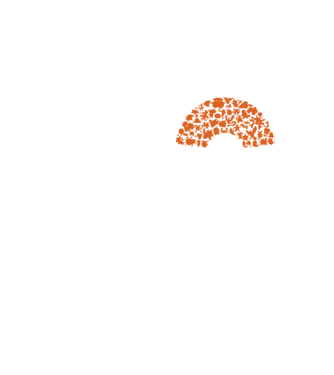 Pokeball model galben neon pe tricou