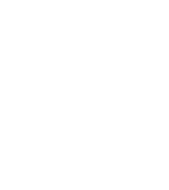 Camion 2. model gri pe tricou