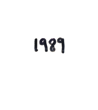 Taylor Swift 1989 text model alb pe tricou