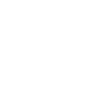 Freedom model gri/negru pe tricou