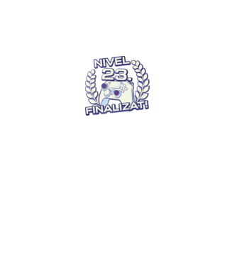 Nivel 23 finalizat! model negru pe tricou