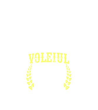 Singurul lucru mai bun decât voleiul este să fiu tată model negru pe tricou
