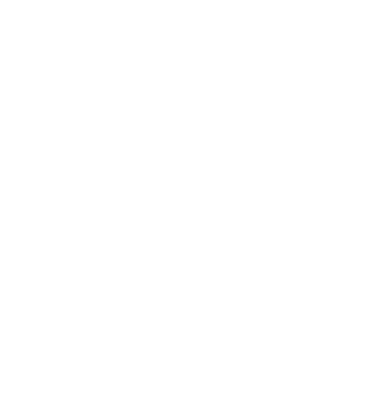 Crazy Cat Ladies are born in December model negru pe tricou