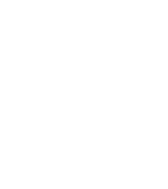 poștașul model turcoaz pe tricou