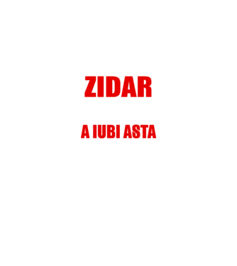Sunt suficient de priceput pentru a fi ZIDAR și suficient de nebun pentru a iubi asta model negru pe tricou