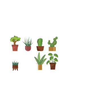 am nevoie doar de plantele astea  model negru pe tricou