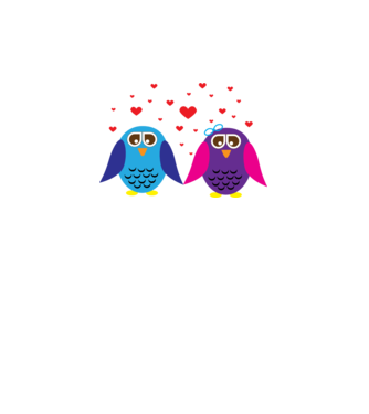 Owl Love model gri pe tricou