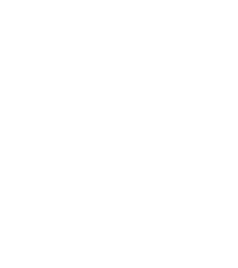 LOVE Husky model turcoaz pe tricou