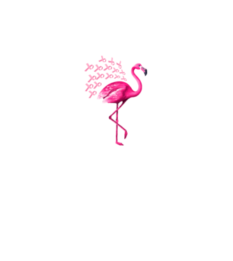 Flamingo pink model negru pe tricou