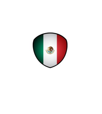MEX-jabulani-flag model alb pe tricou