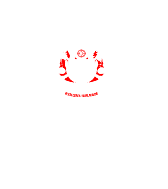 Unul dintre noi iese din joc - jocul s-a terminat - petrecerea burlacilor model negru pe tricou