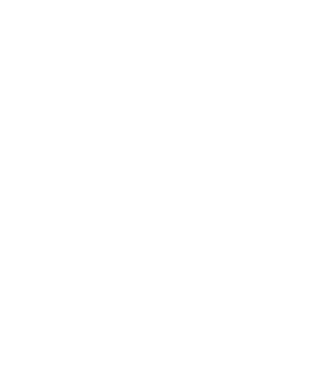 Crazy Cat Ladies are born in December model negru pe tricou
