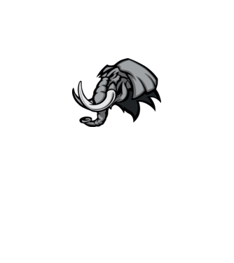 Elephant model galben neon pe tricou
