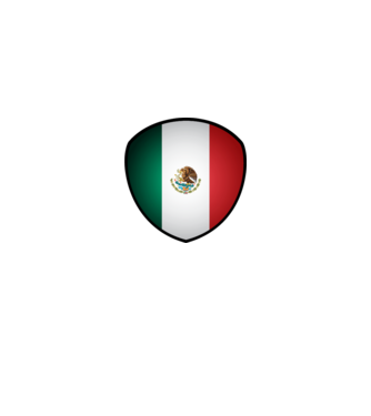 MEX-jabulani-flag model alb pe tricou