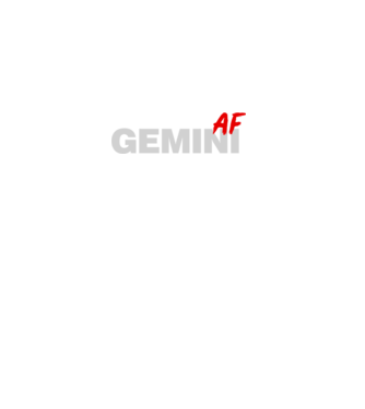 GEMINI as fuck model negru pe tricou
