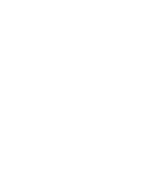 chitară evolution model negru pe tricou