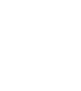 Crazy Cat Ladies are born in February model negru pe tricou