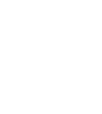 Crazy Cat Ladies are born in January model negru pe tricou