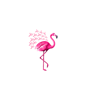 Flamingo pink model negru pe tricou