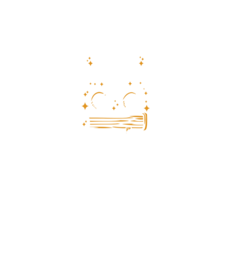 Cel mai profesor geografie model negru pe tricou