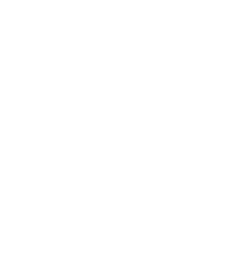 Crazy Cat Ladies are born in June model negru pe tricou