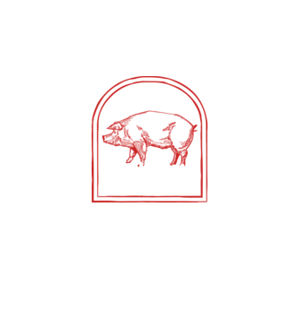 Festival BBQ - cu tata în grădina din spate! model  pe tricou