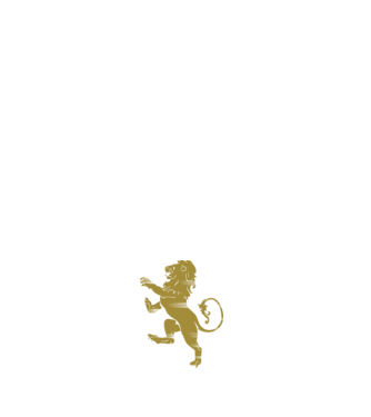 Lion Rampant model negru pe tricou