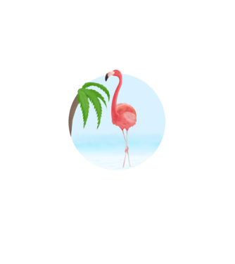 Flamingo model alb pe tricou