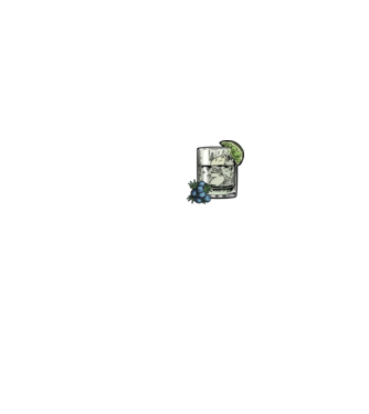 Let the fun be gin model negru pe tricou