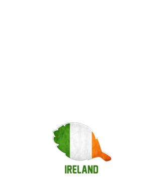 Steag irlandez model negru pe tricou
