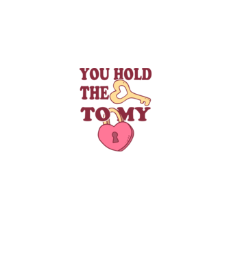you hold the key to my heart model gri pe tricou