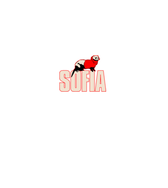 sofia la casa de papel model negru pe tricou