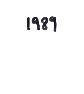 Taylor Swift 1989 text model alb pe tricou