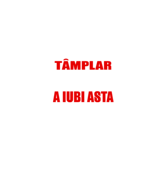 Sunt suficient de priceput pentru a fi TÂMPLAR și suficient de nebun pentru a iubi asta model negru pe tricou