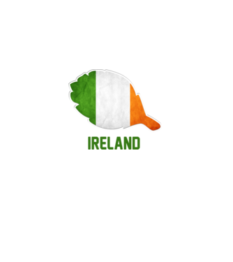 Steag irlandez model alb pe tricou