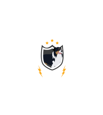 serviciu de securitate - securitate - persistență - 24 de ore pe zi model negru pe tricou