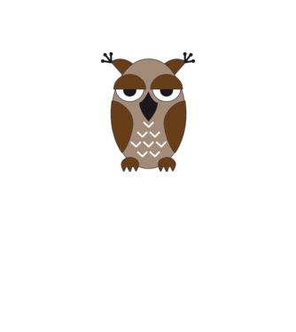 Owl model alb pe tricou