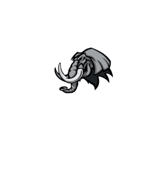 Elephant model galben pe tricou