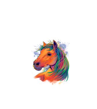 Colorful Horse model alb pe tricou
