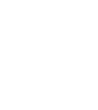 chitară evolution model negru pe tricou