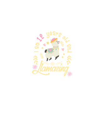 Birthday Llamazing 12 years old model negru pe tricou
