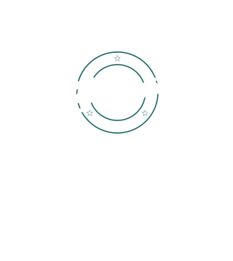 patinaj model verde neon pe tricou