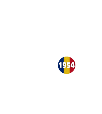 made in 1954 retro vintage model negru pe tricou