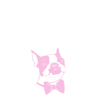 Boston Terrier model alb pe tricou