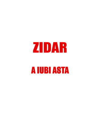 Sunt suficient de priceput pentru a fi ZIDAR și suficient de nebun pentru a iubi asta model negru pe tricou