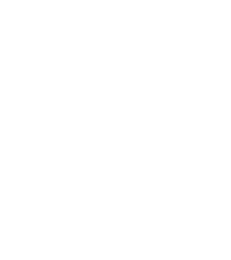 LOVE Havanese model negru pe tricou