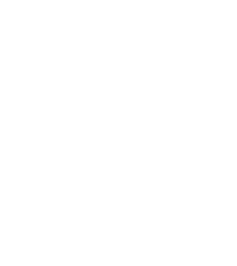 LOVE Havanese model negru pe tricou