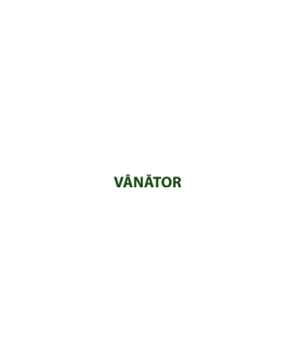 fii calm, sunt vânător model negru pe tricou