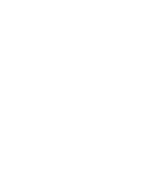 LOVE BULDOG ENGLEZESC model turcoaz pe tricou